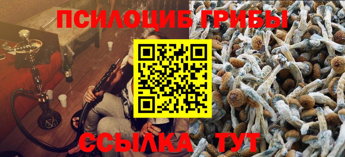 Галлюциногенные грибы мухоморы Кудрово
