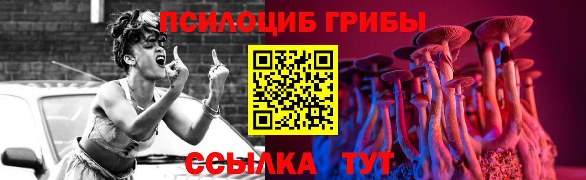 Кудрово  где можно купить наркотик  Вход с VPN  Галлюциногенные грибы GOLDEN TEACHER 